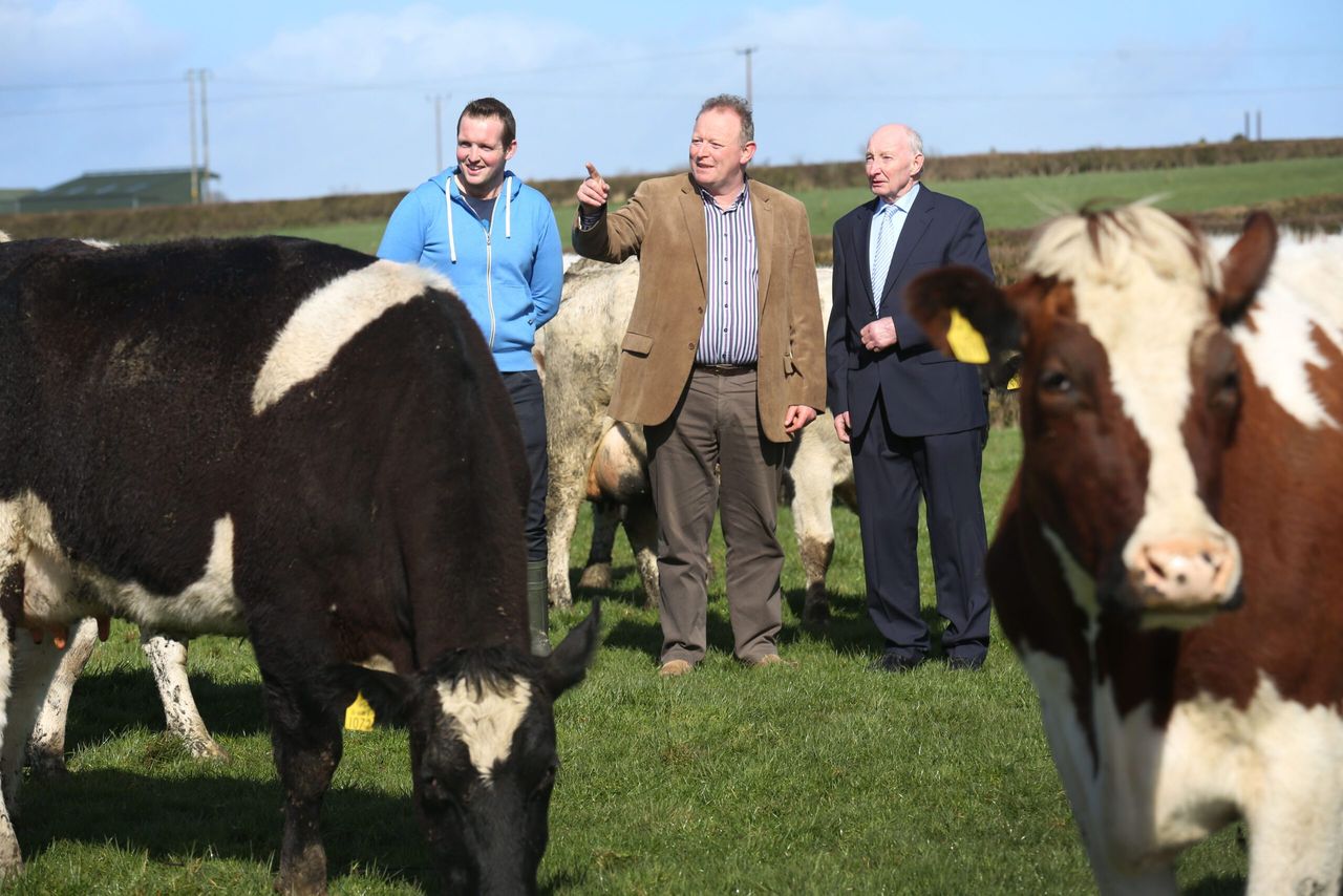 How do you feel about the EU dairy package? 'Underwhelmed' - IFA Dairy Chairman