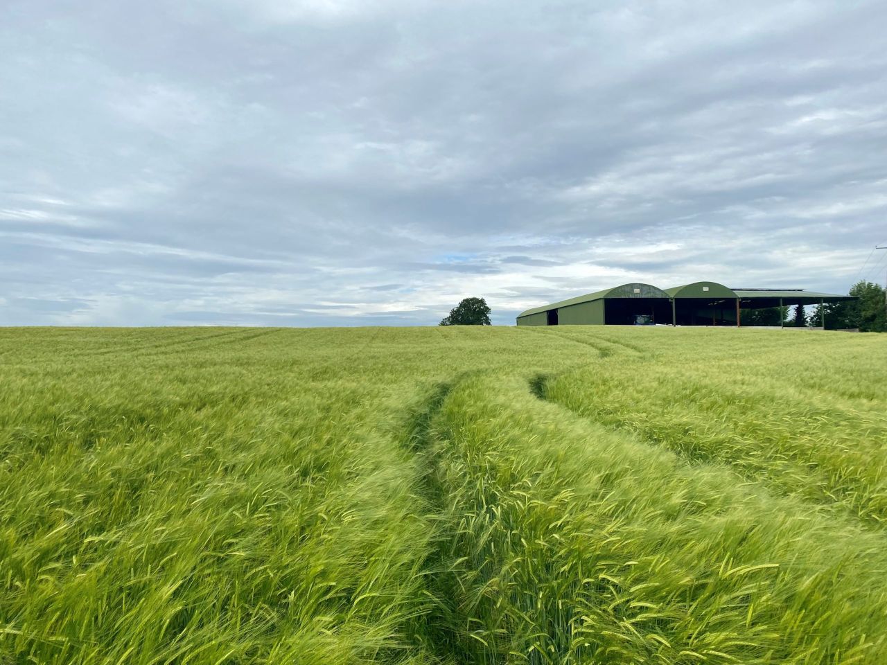 Athy land 'would make ideal out-farm'