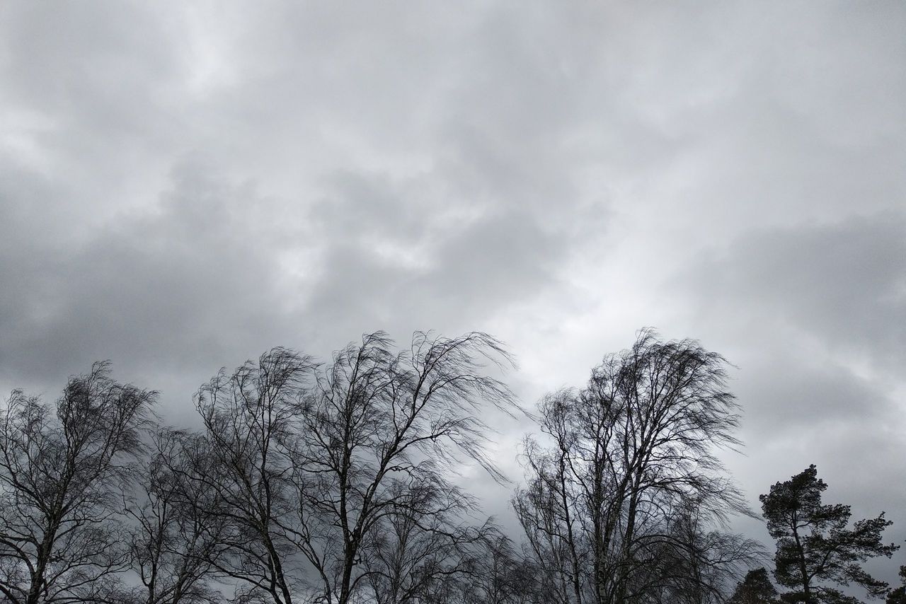 Weather: Status Yellow wind warning issued for two counties
