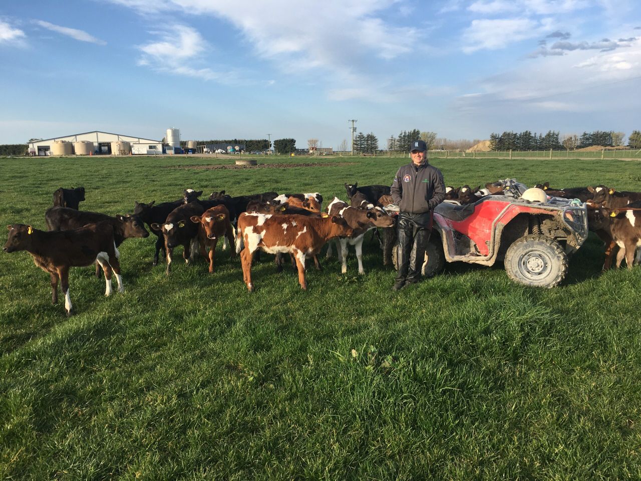 'Life on a 2,500-cow dairy farm is hectic': Waterford woman