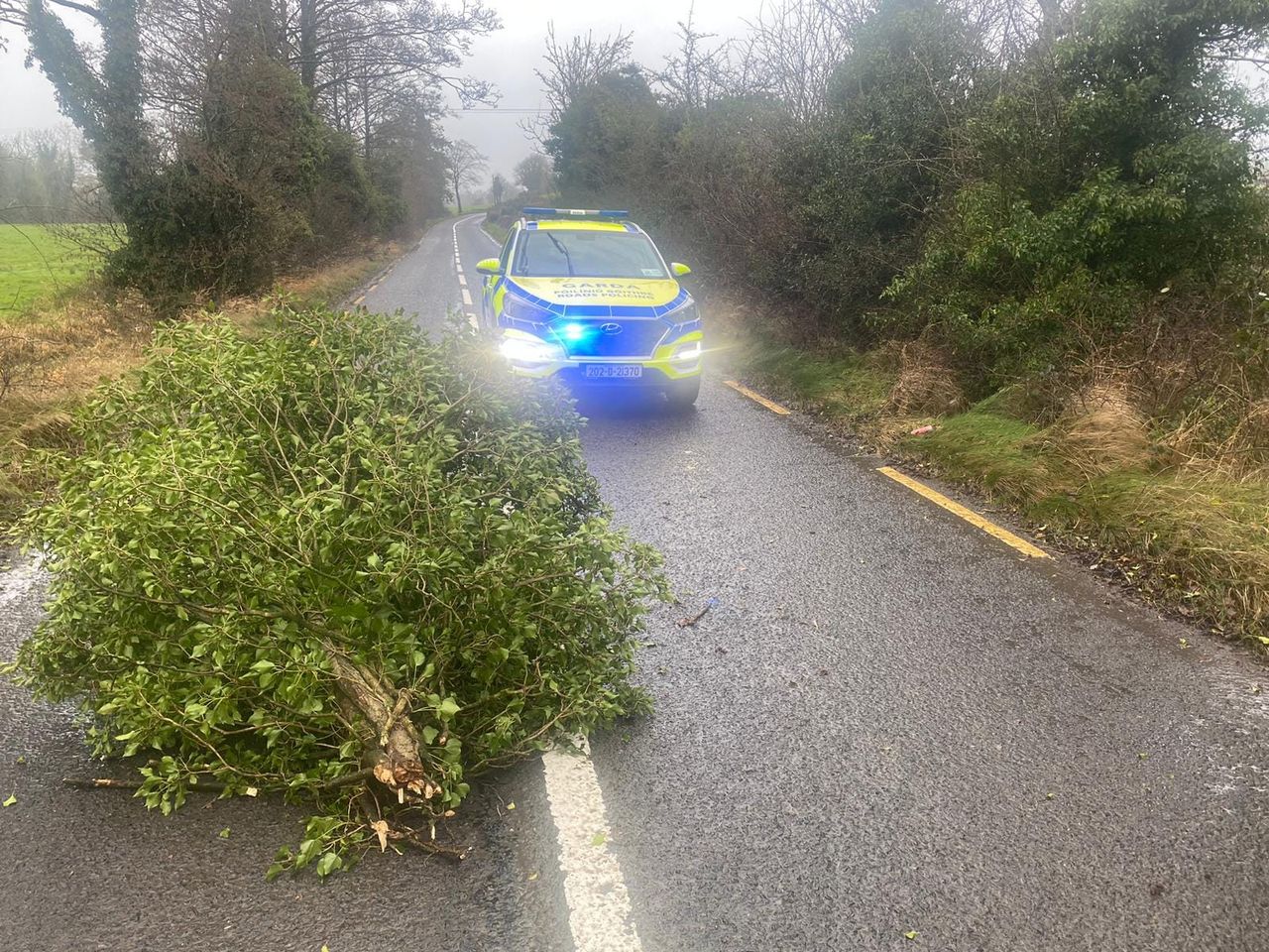 Wind warnings in place nationwide ahead of Storm Jocelyn