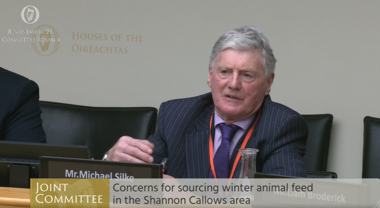 Ag committee told 'no fodder saved' because of Shannon flooding
