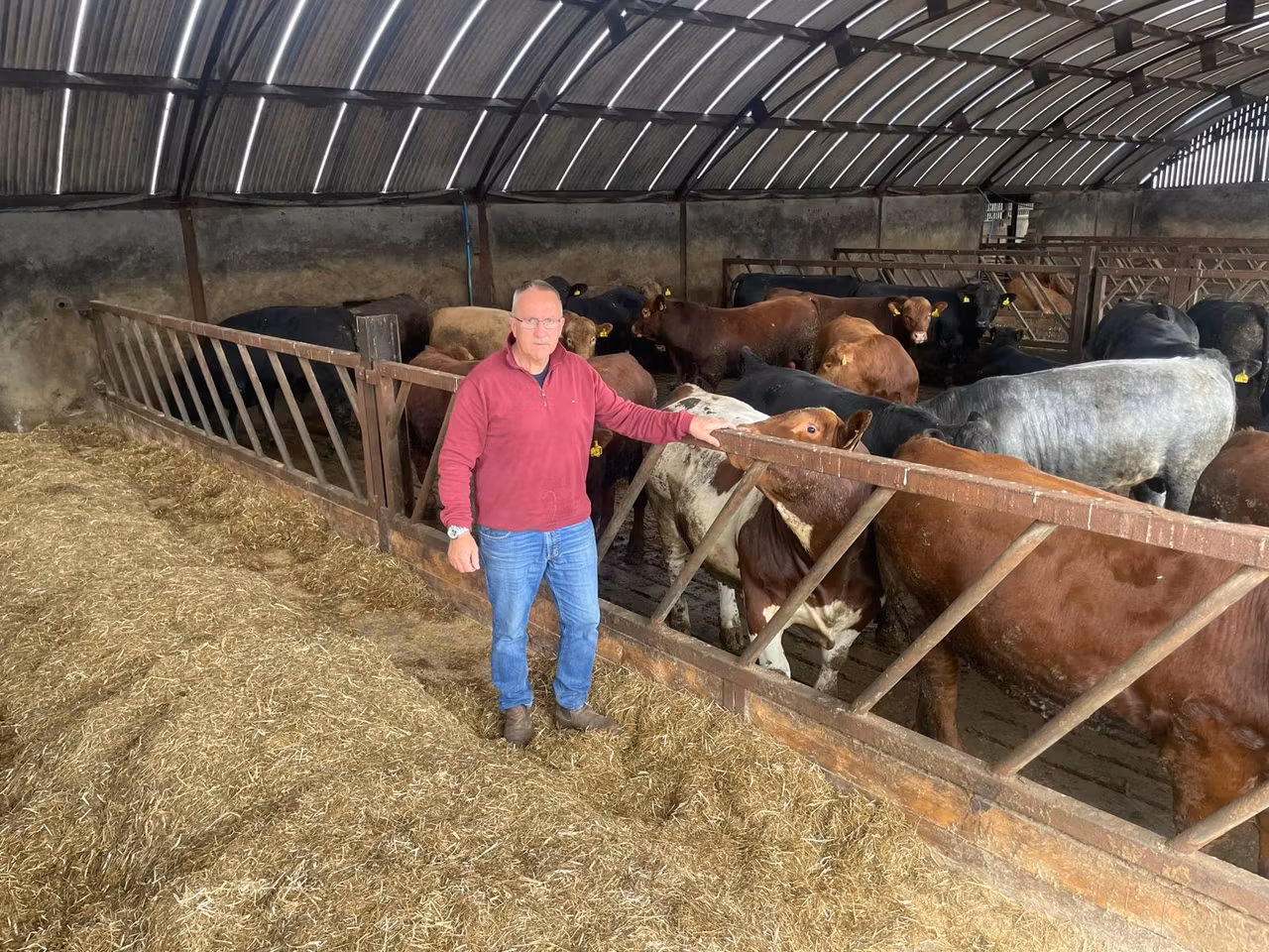 Beef processors 'moved too far and too fast in cutting prices' - UFU