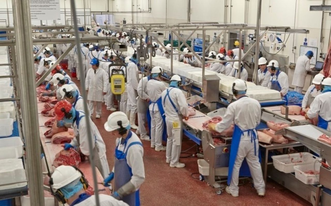 Always insist on payment 'on the day' - ICMSA
