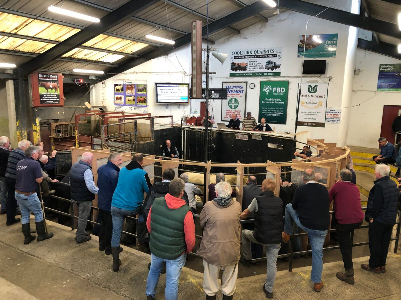 Mart Report: Heavy cattle trade improves at Ballina Mart