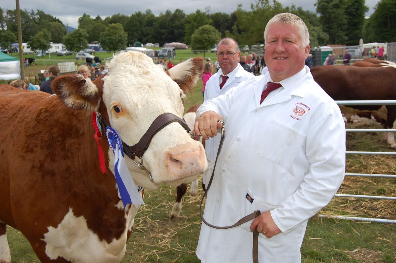 Newry Show has a new home