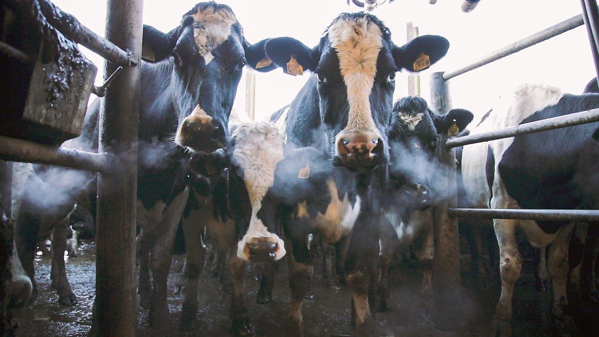 What does 2018 hold for milk prices?