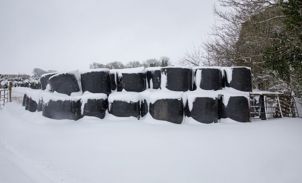 Silage prices: €20-35 quoted for 4X4 round bales