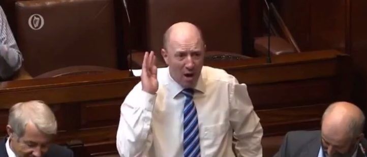 Video: 'It's an outrageous act for our army to be used to shoot five cattle'