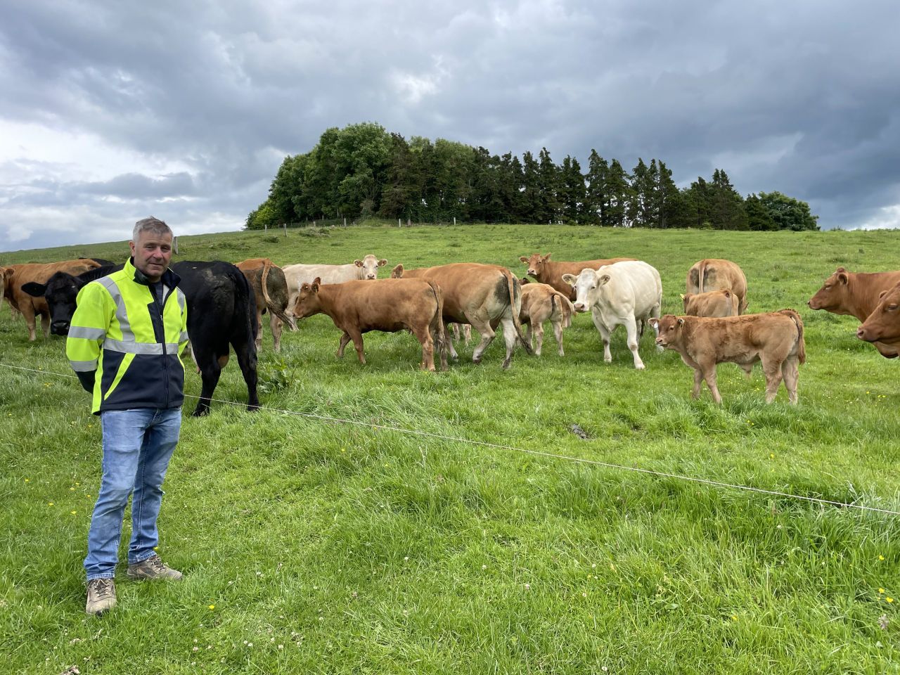 Beef focus: Suckler, dairy-beef and 'new-entrant' finisher in Cavan