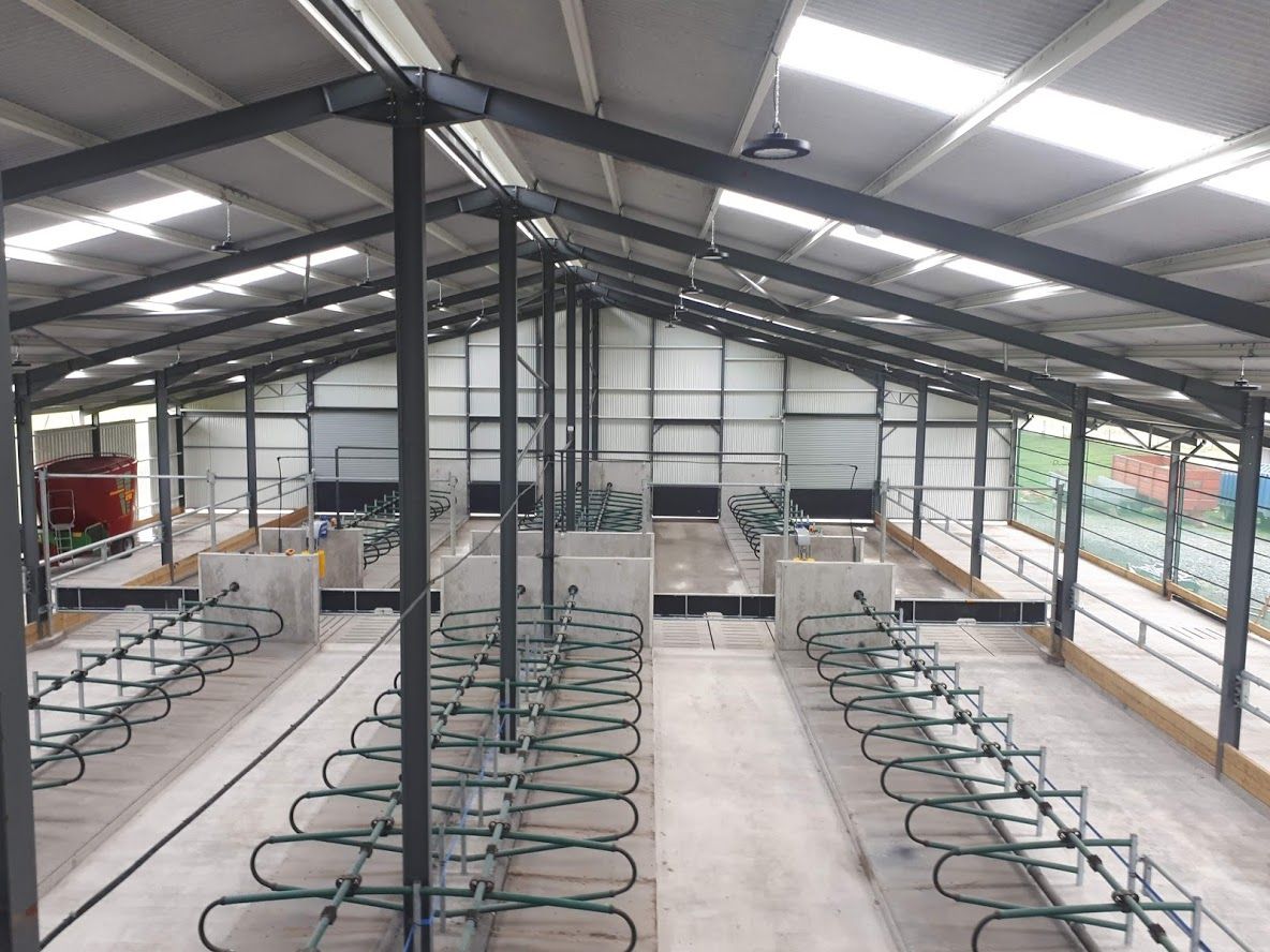 Buildings focus: Housing 80 pedigree Charolais cows in a new cubicle shed in Co. Cavan