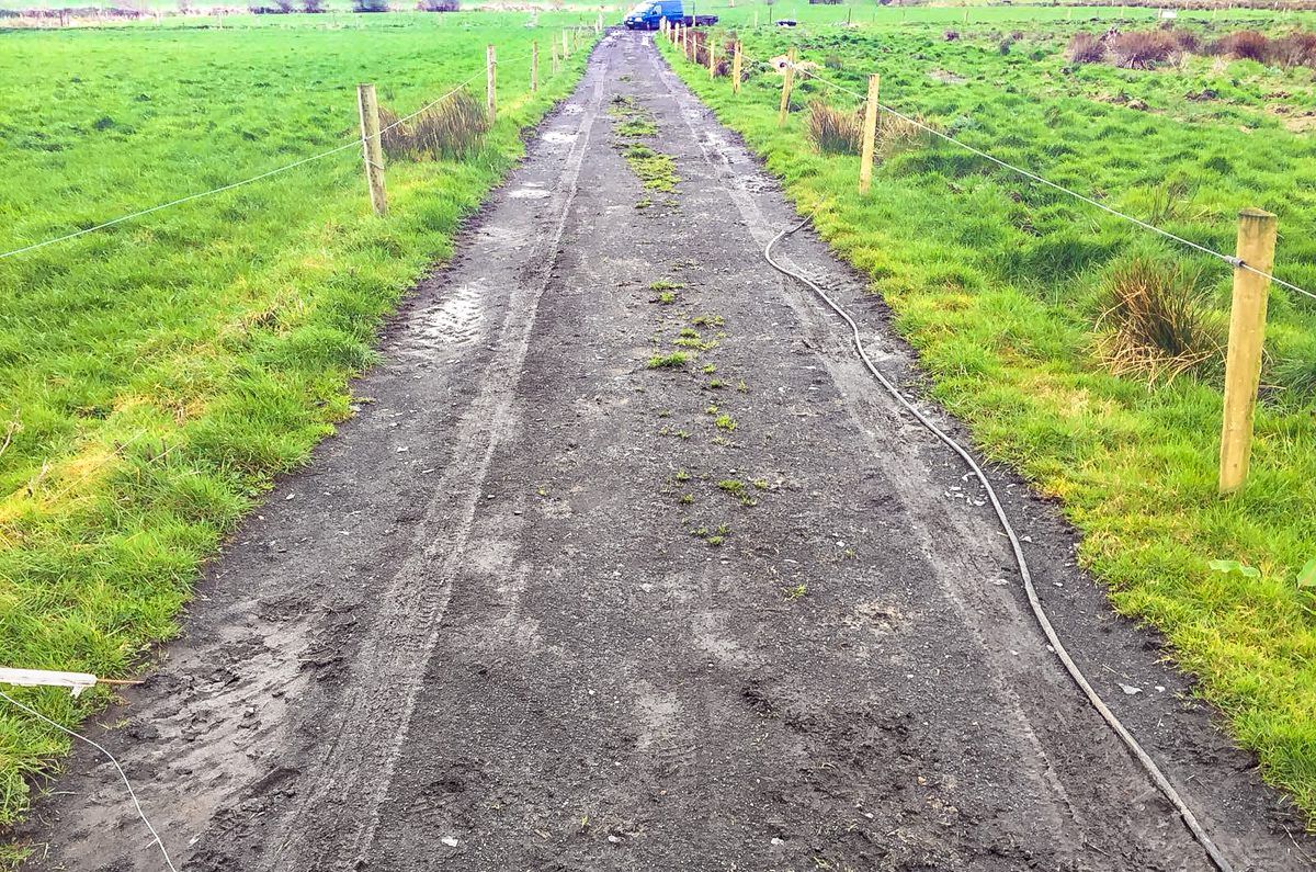 Dairy focus: Changing the game and chasing early grass in north Mayo
