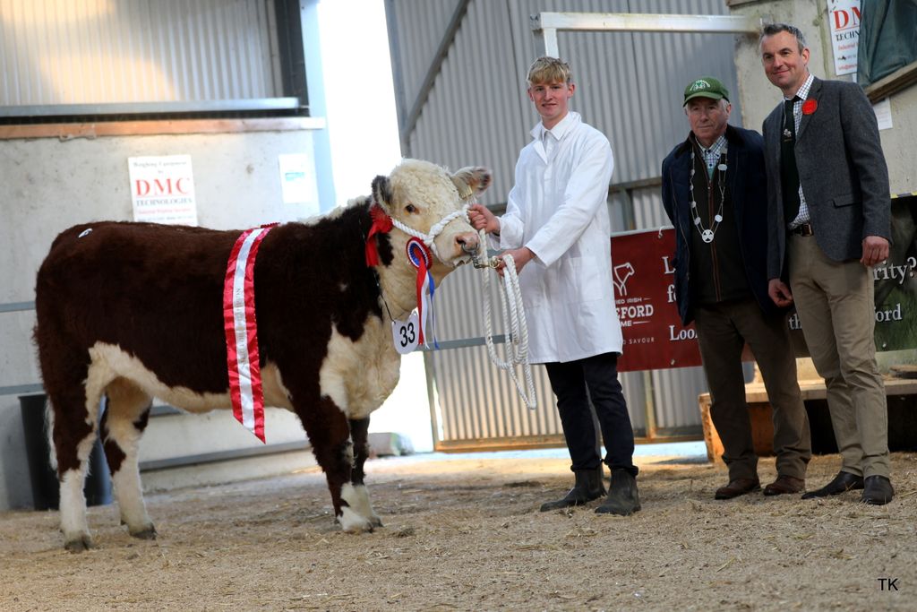 Champion heifer Coralstown Grainne with breeder Colin Burke, IHBS president John Boddy and judge Tony Bradstock