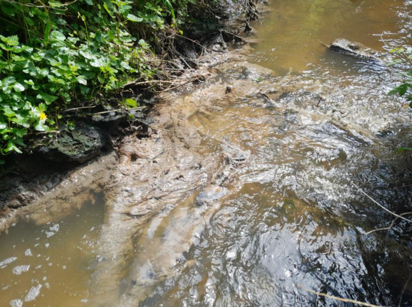 Uisce Éireann fined for sewage pollution incident in Cavan