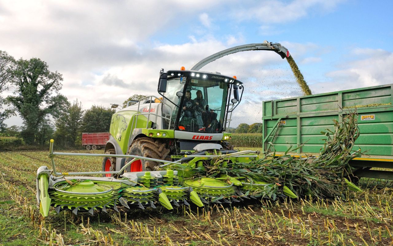 Machinery Focus: Clearing a maize crop grown 'plastic free'