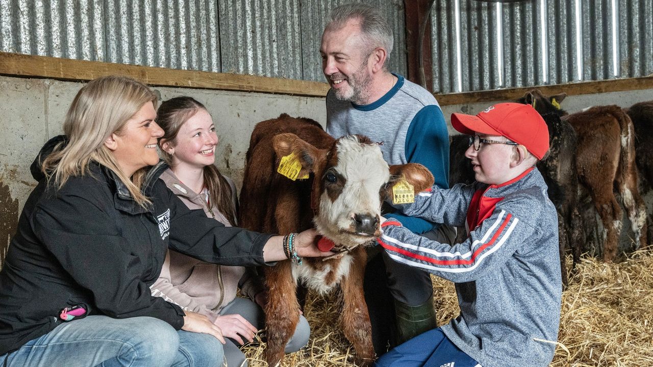 Why this farmer invests in quality milk replacer for his beef calves