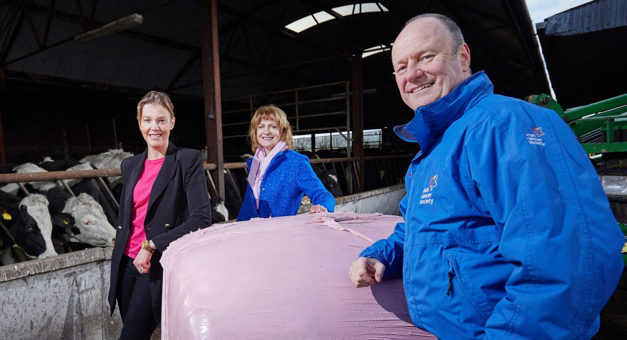 'Wrap It Pink' campaign raises €17,500 for the Irish Cancer Society in 2017