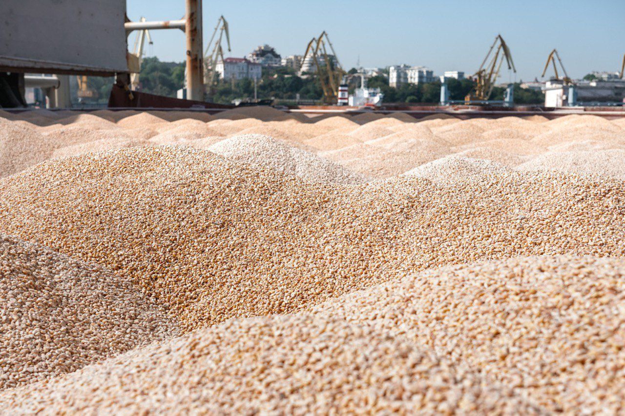 Black Sea Grain Initiative extended for two months - Erdogan