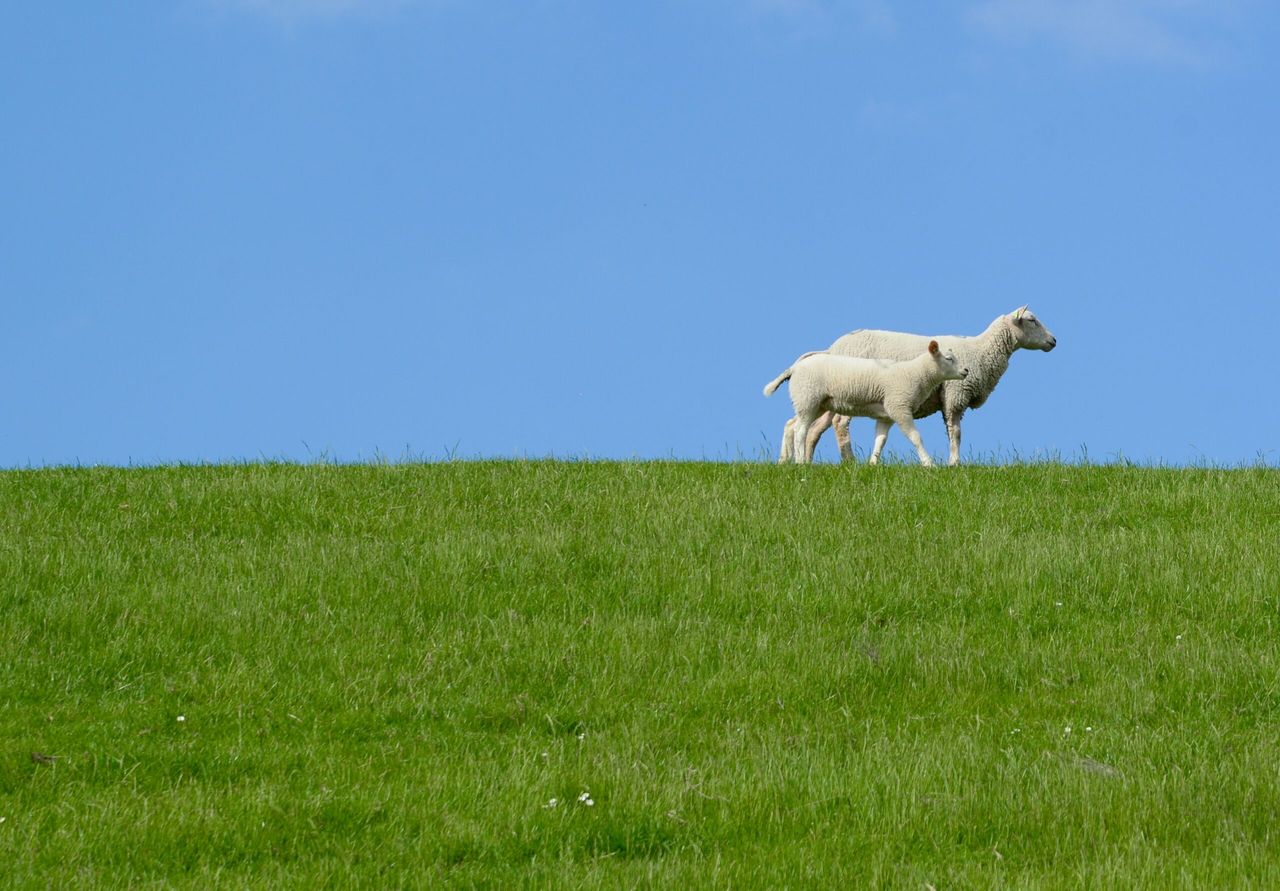 EU agri committee urged to visit border region