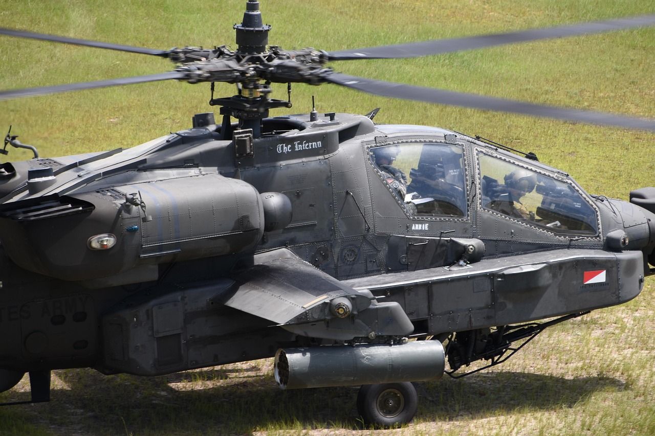 Cow euthanized following 'military helicopter exercise' in Netherlands