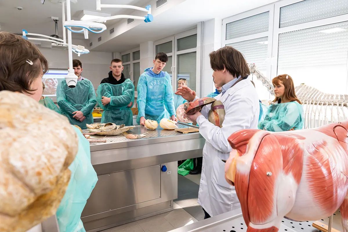 More Irish students turning to Poland for veterinary courses
