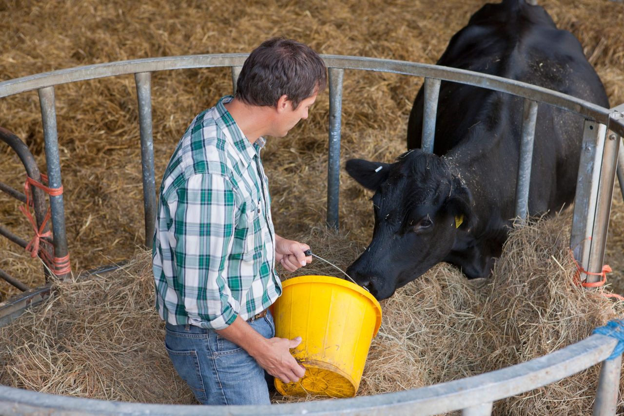 Sinn Féin: Irish agriculture ‘facing a crisis’ on multiple fronts