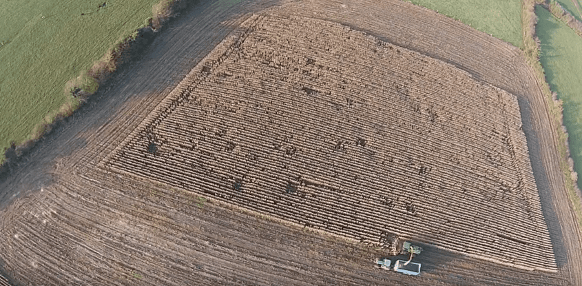 Video: The maize harvest in Tipperary gets wrapped up