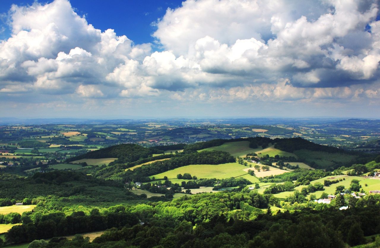How does the agricultural land rental market compare in the UK?