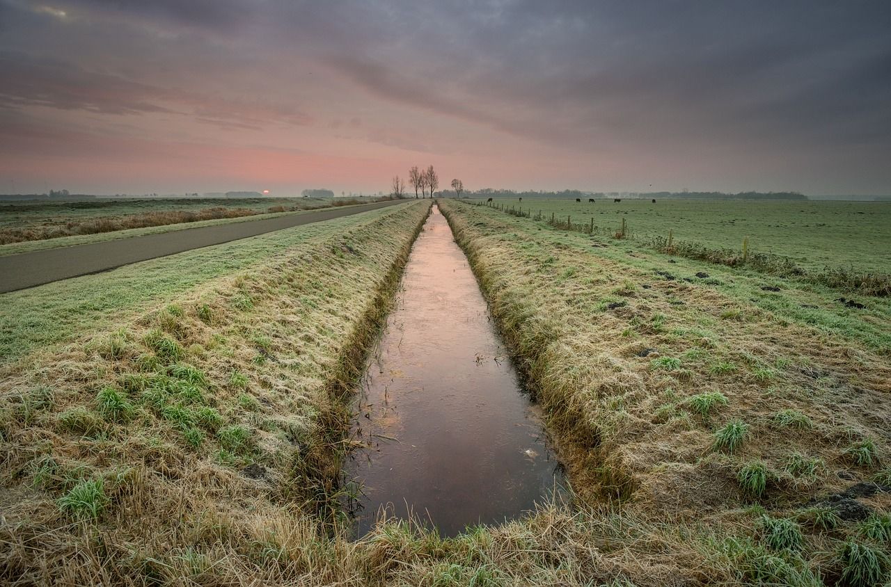 Water Action Plan to include Arterial Drainage Act review