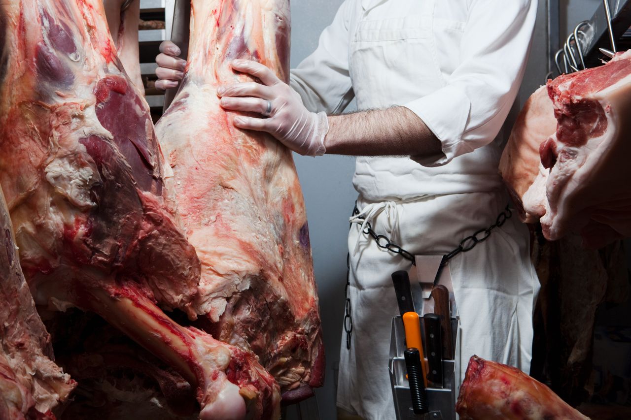 Small abattoirs 'under serious pressure' - Fitzmaurice