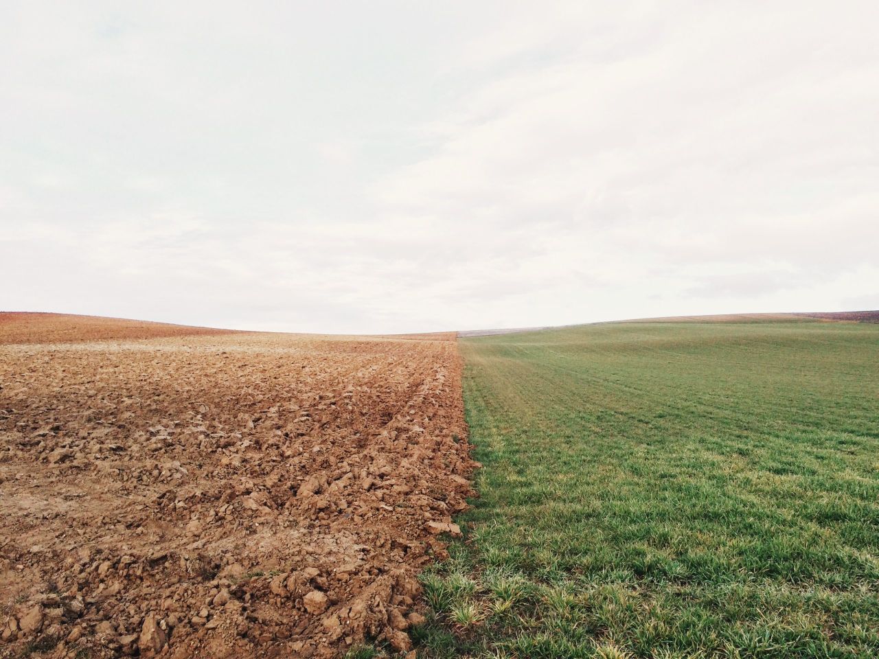 Investment in soils could not only benefit the environment - research