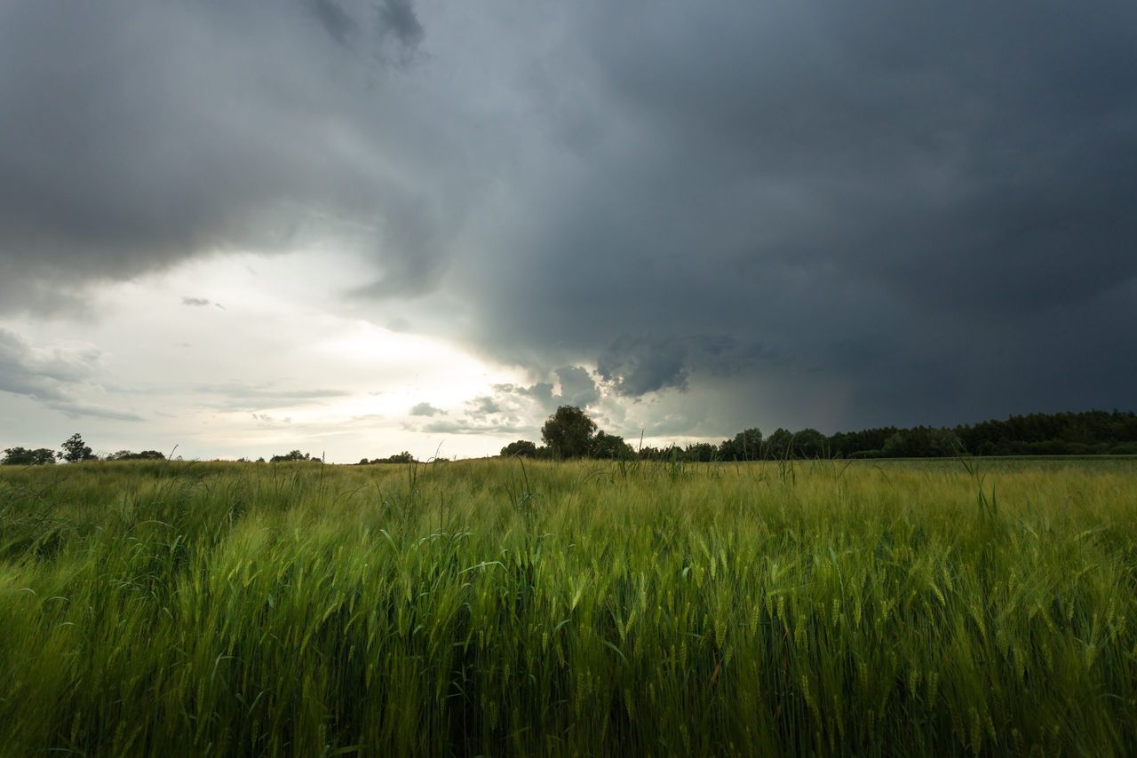 Warning issued as Storm Dave to bring 'severe gusts' over Easter weekend
