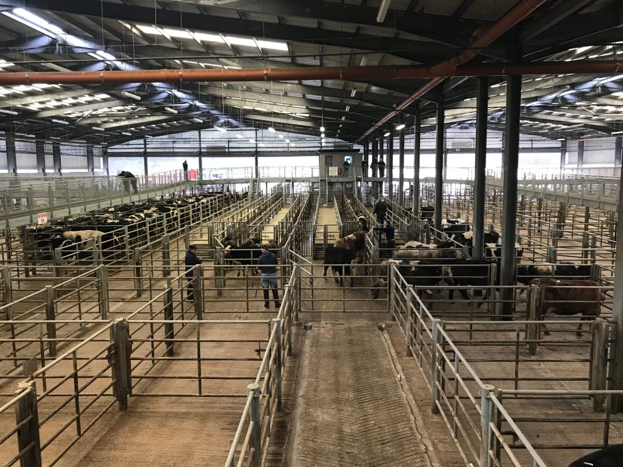 'No plans in place to restrict direct access to animals at livestock marts'