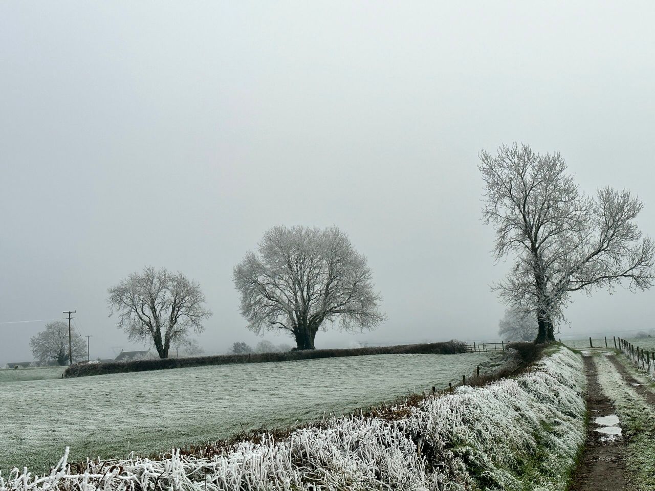 Larissa revels in 'The Glow of a Winter's Eve'