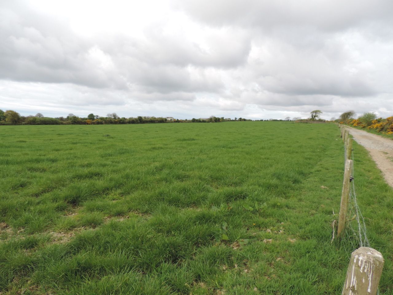 Multi-purpose farm on the market for €10,000/ac in Co. Wexford