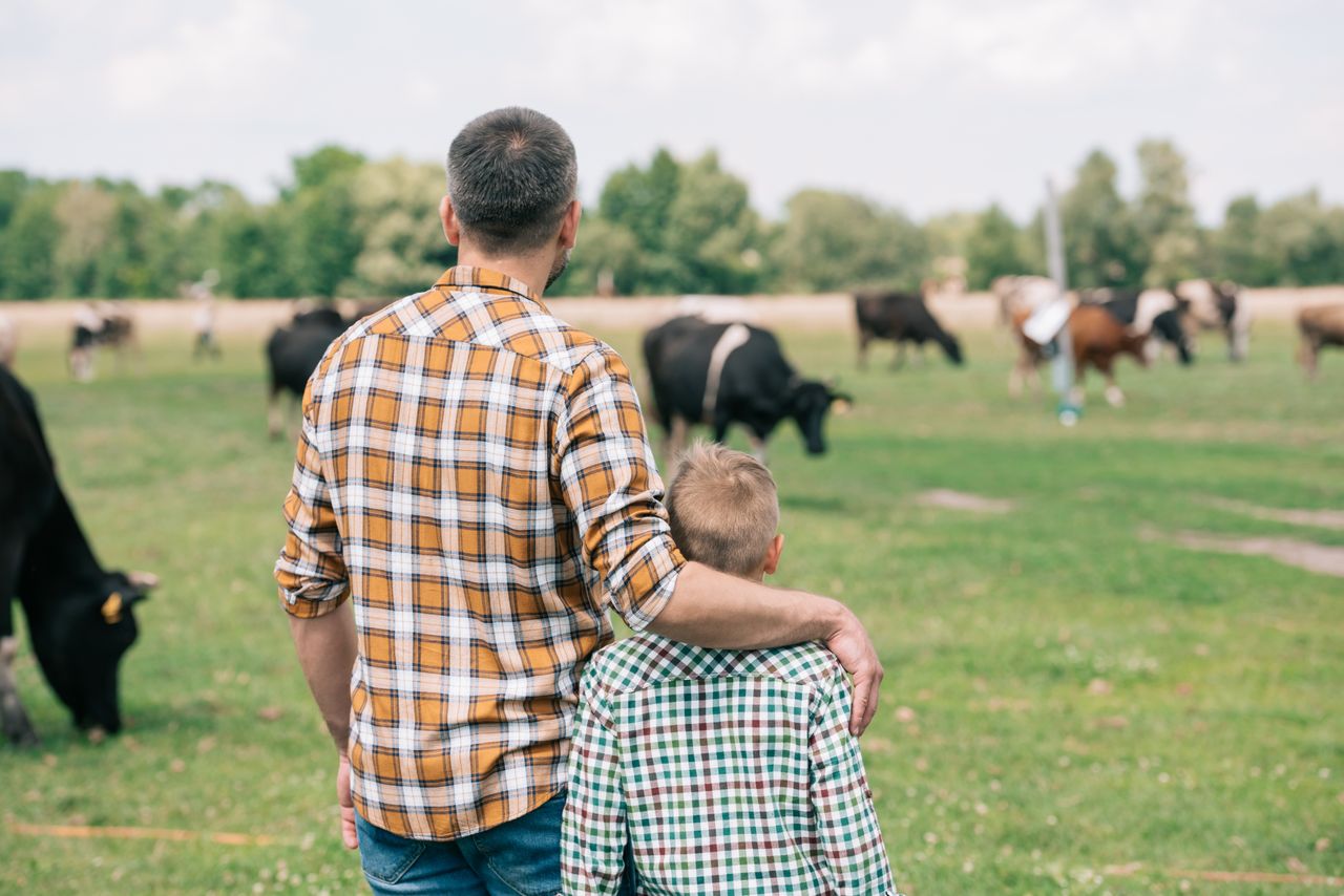 What's stopping farmers transferring the farm?
