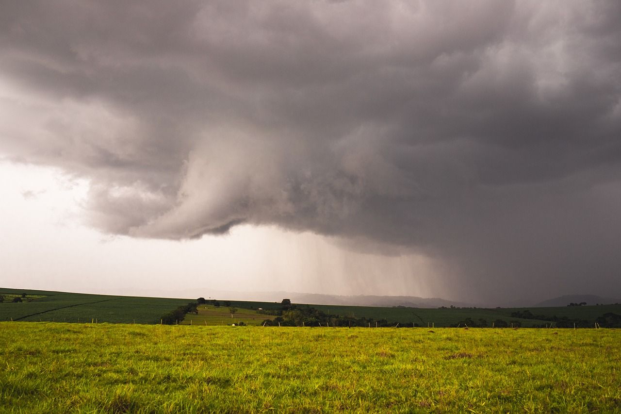 Farmers advised that rainfall will be 'above average' - Met Éireann