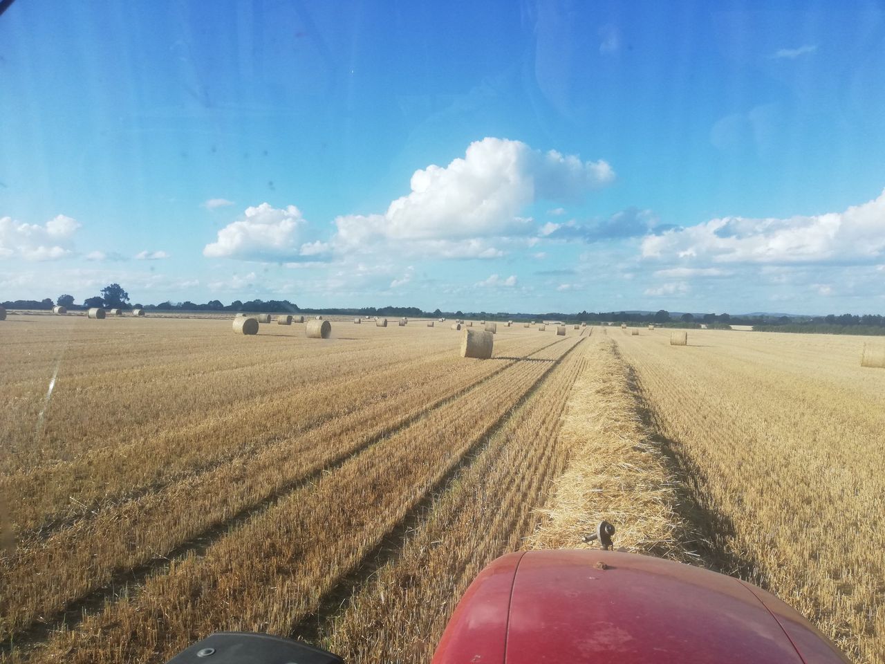 Straw: 50% decrease in yield being reported in the midlands