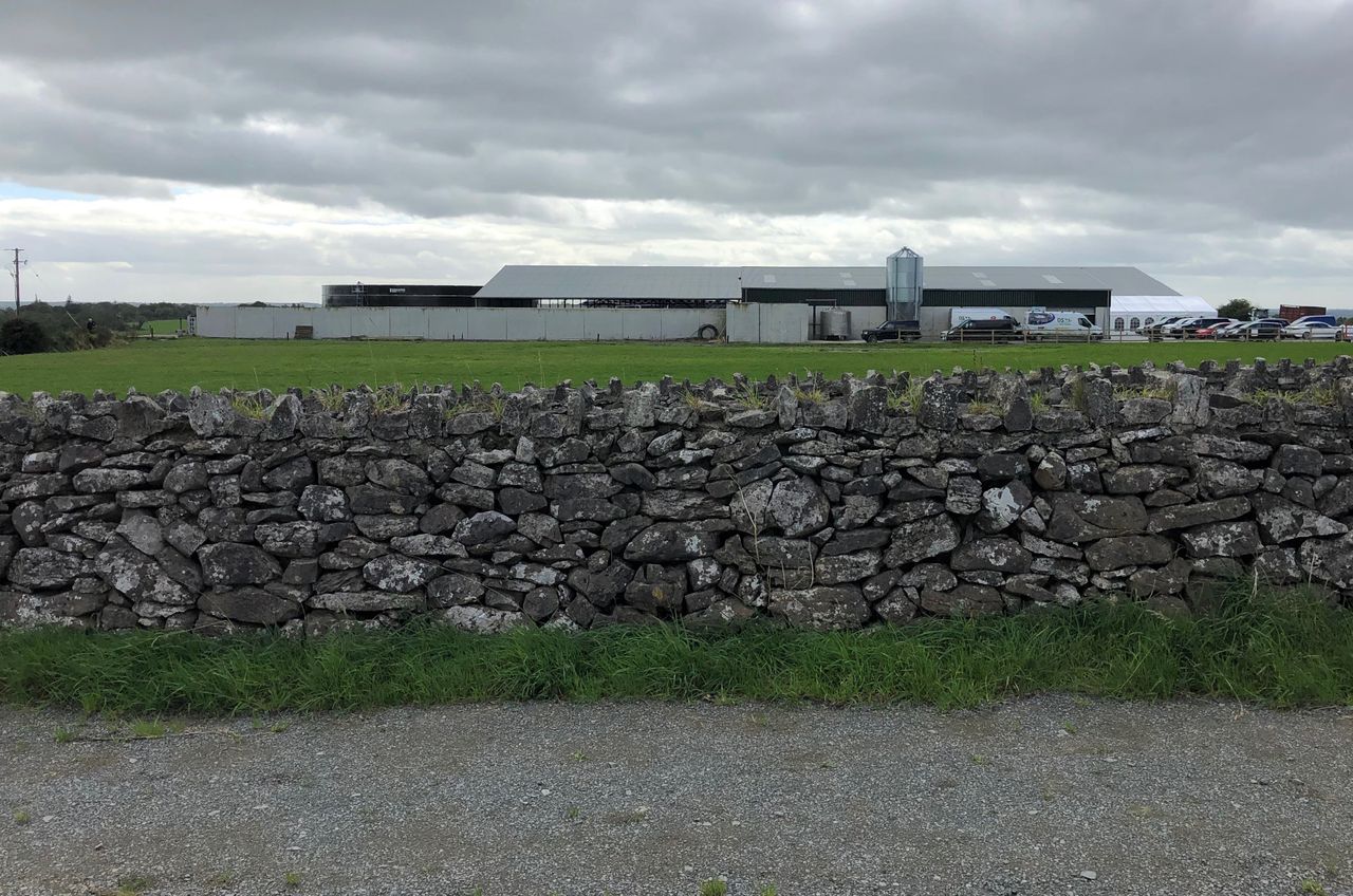 Dairy focus: 8 farmers and one leased farm in Co. Roscommon