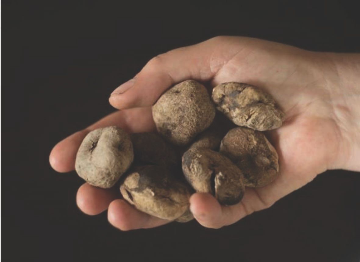 The humble spud could reduce risk of high blood pressure - study