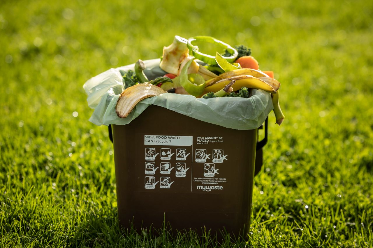 Food waste: Over two thirds of Irish households use a brown bin