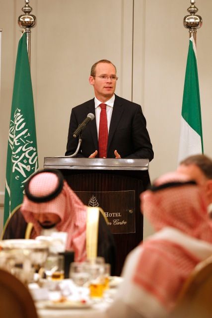 ICMSA will seek Coveney’s intervention in TLT affair