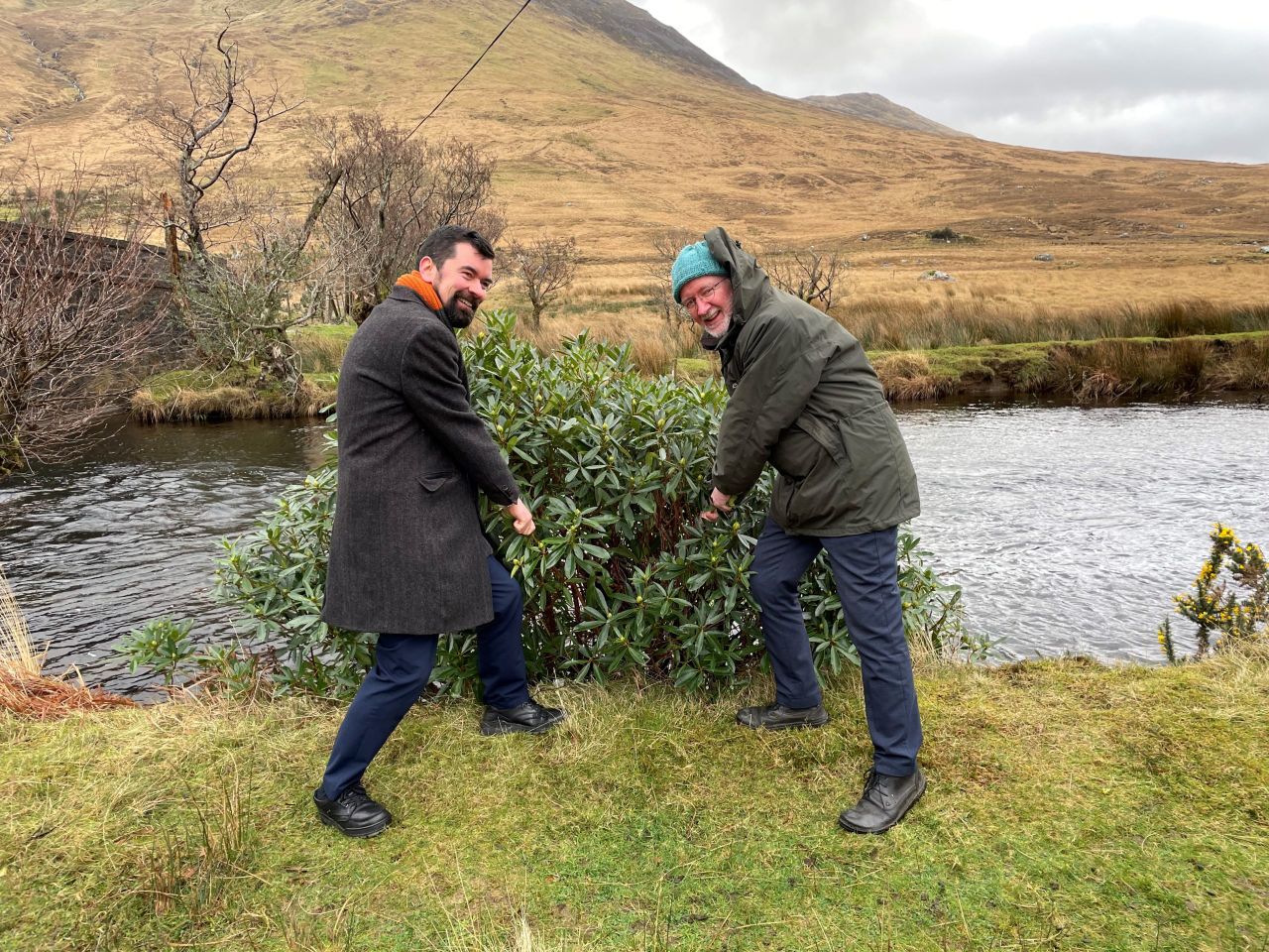 Rhododendron Control Project launched in Mayo