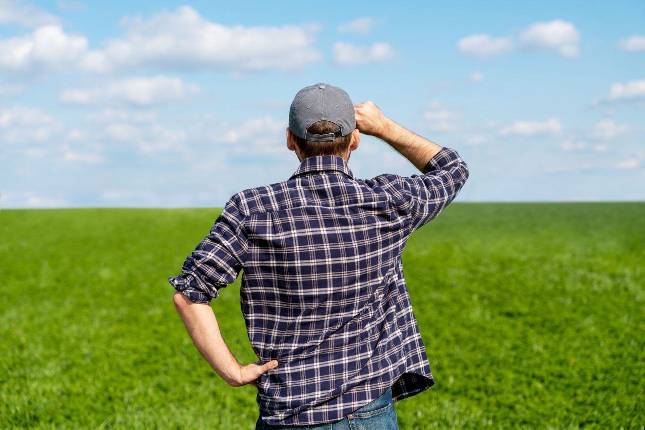 How farmers can protect themselves and animals in hot weather