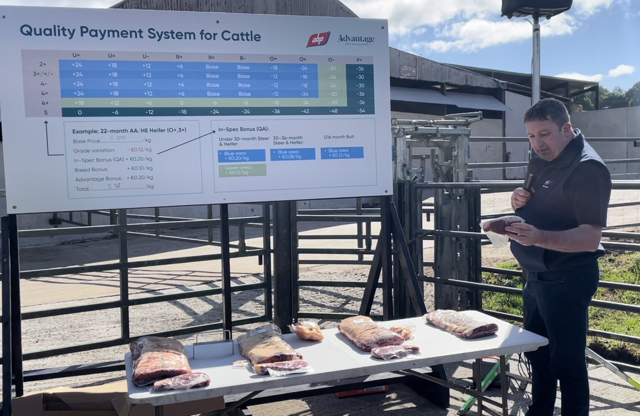 Video: Comparing steaks from in-spec and out-of-spec cattle
