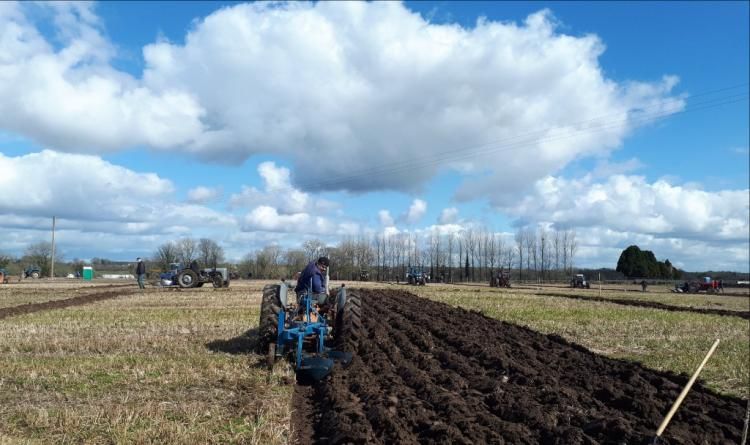 85th Longford ploughing championships kicks off this weekend
