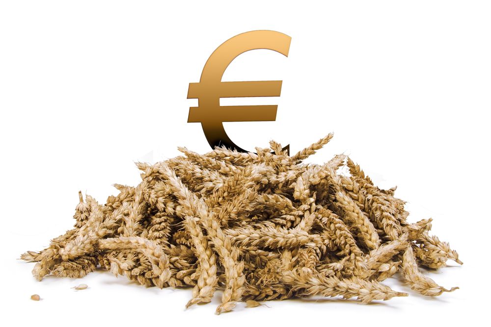 Farmers are 'financially worse off' this year - farm org