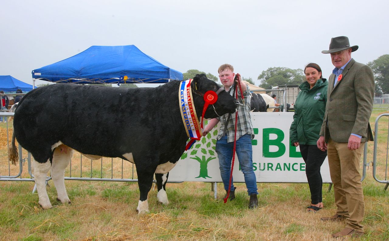 Numerous cattle and sheep classes for Tinahely Show