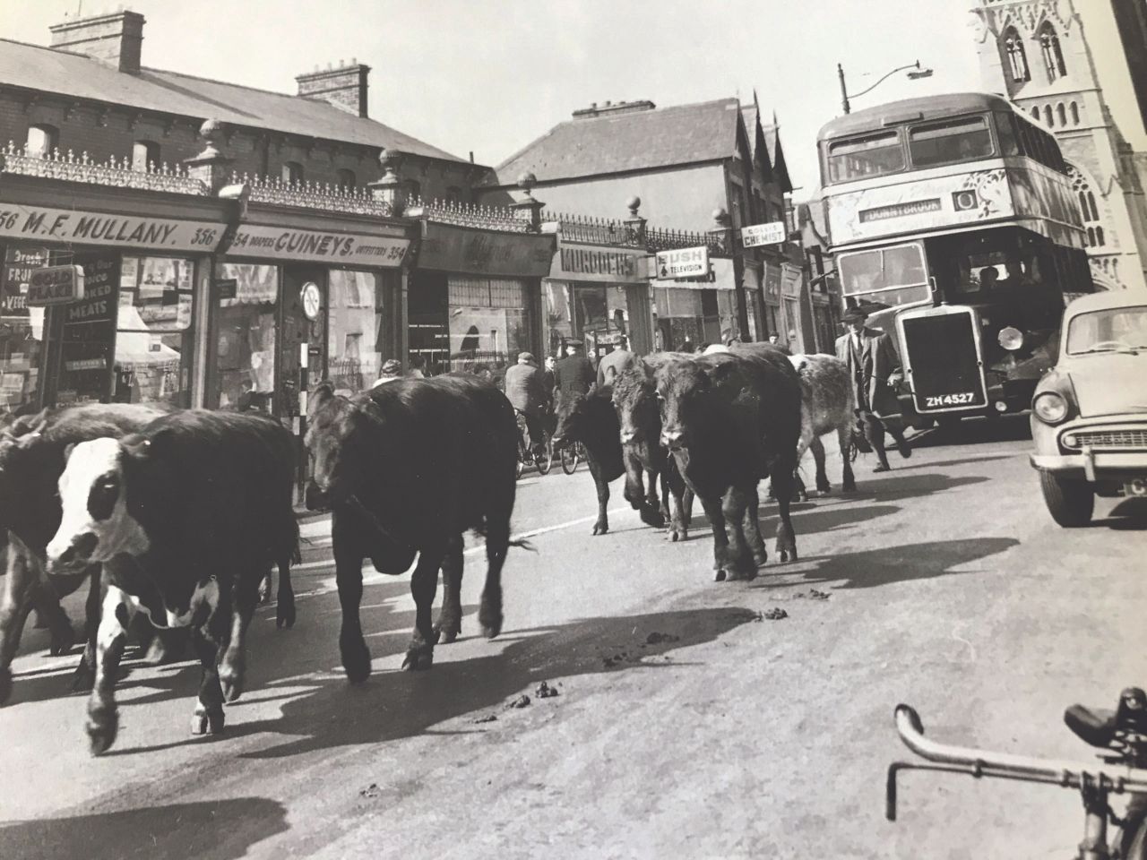 History of agricultural advisory services launched