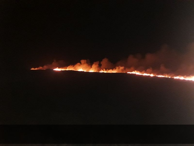 Burning and hedge cutting ban now in place - minister